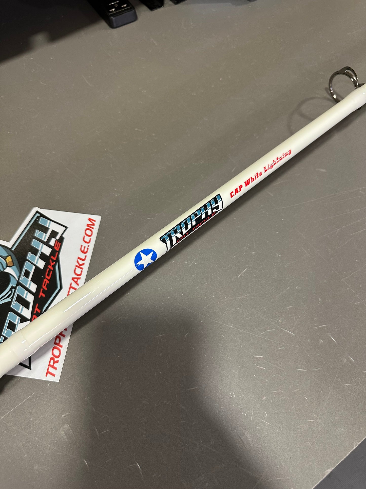 Spinning CAP White Lightning Catfish Rod