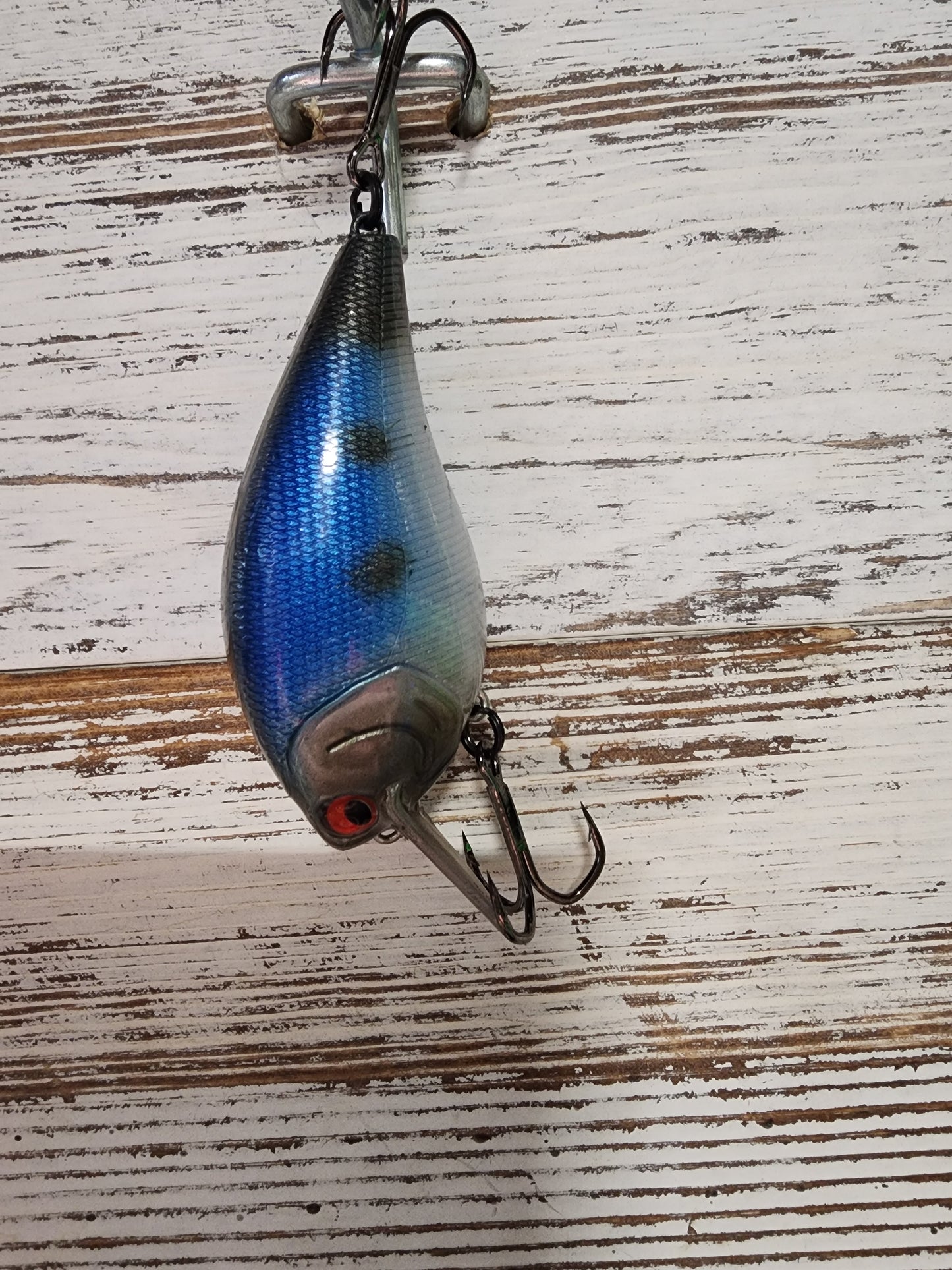 Blueback shad crank bait
