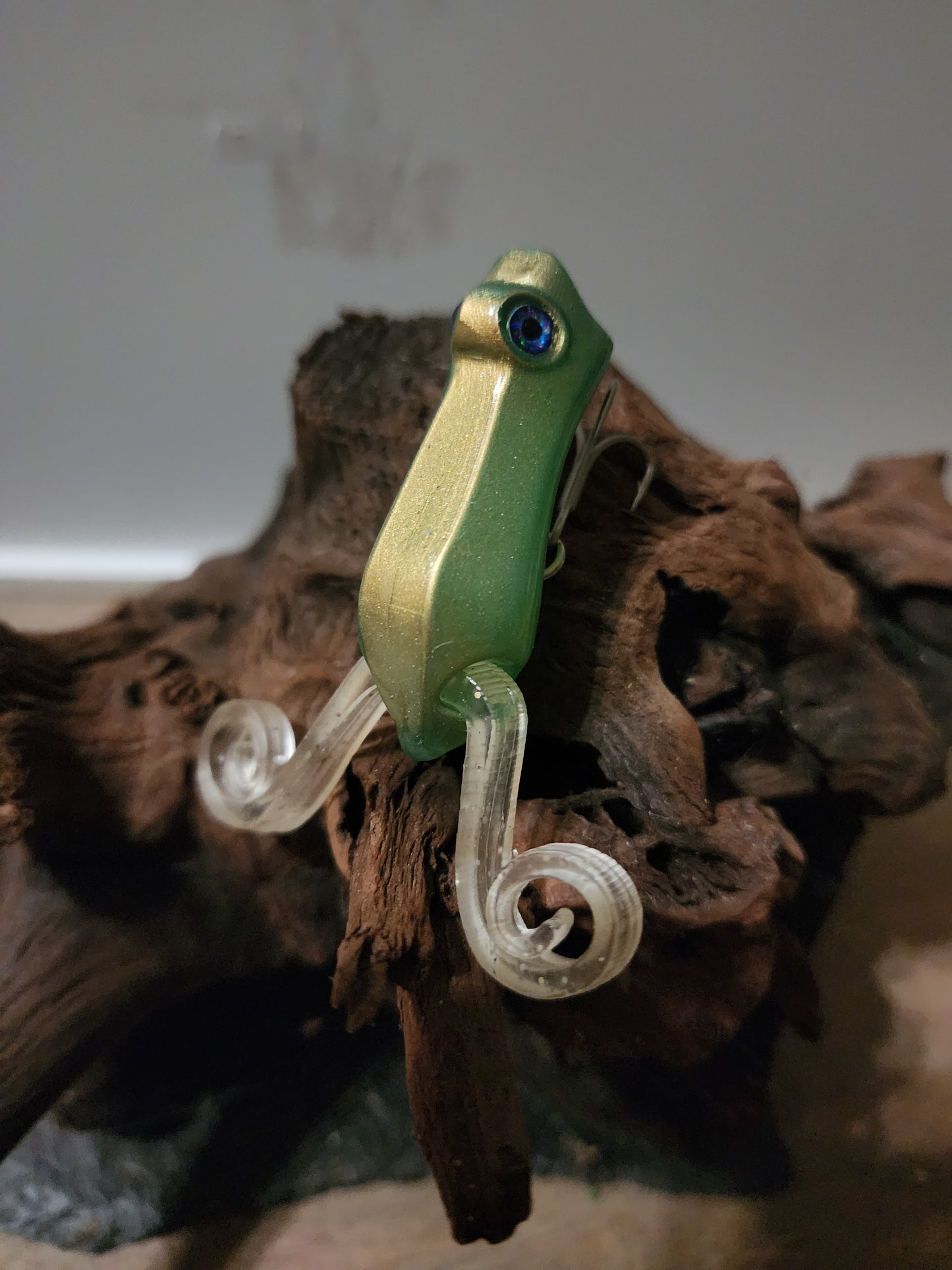 Frog popper sun kissed