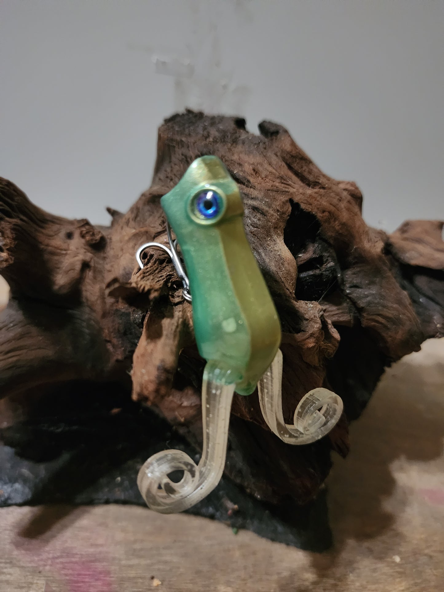 Frog popper sun kissed