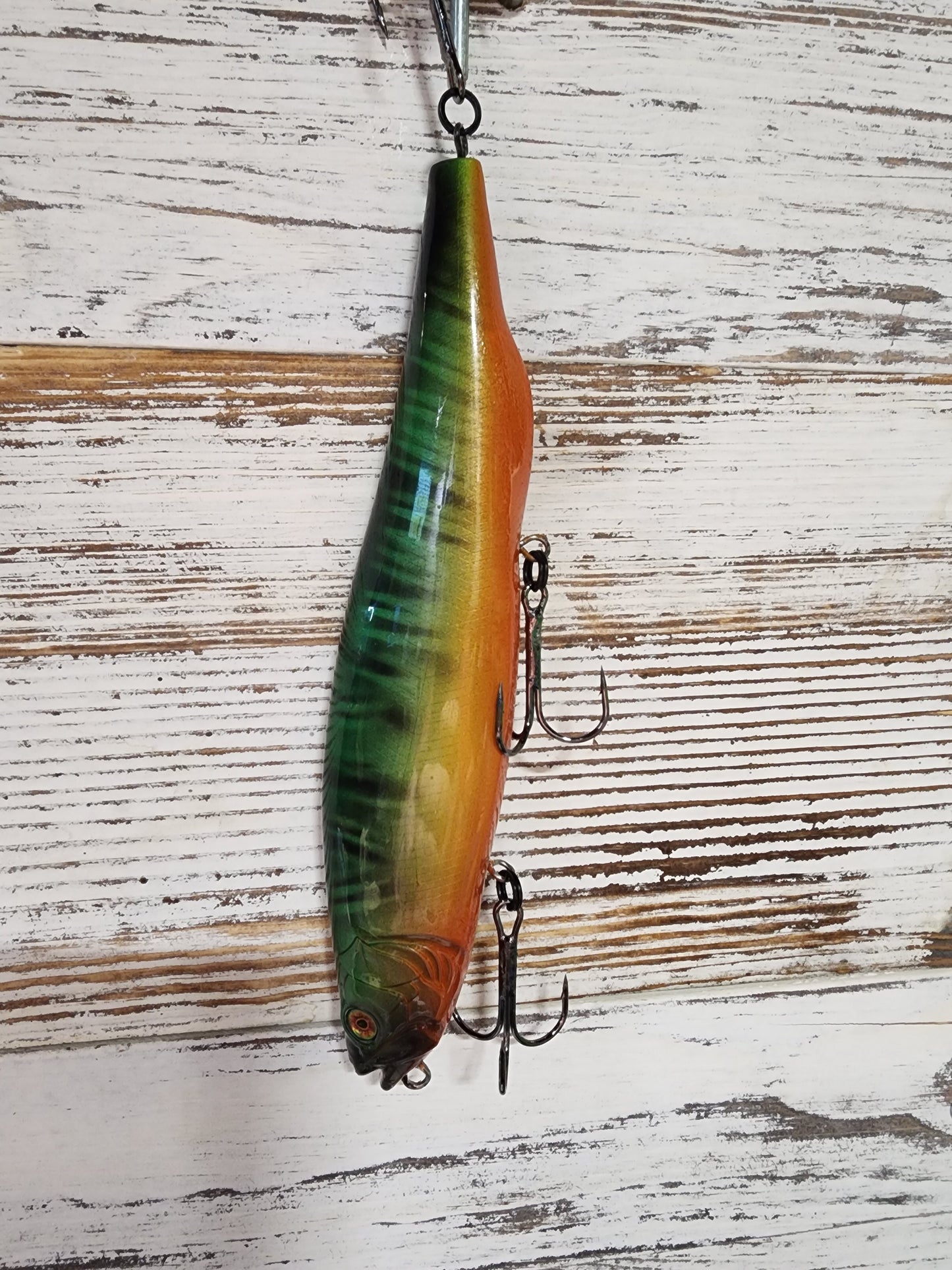 Fire tiger muskie