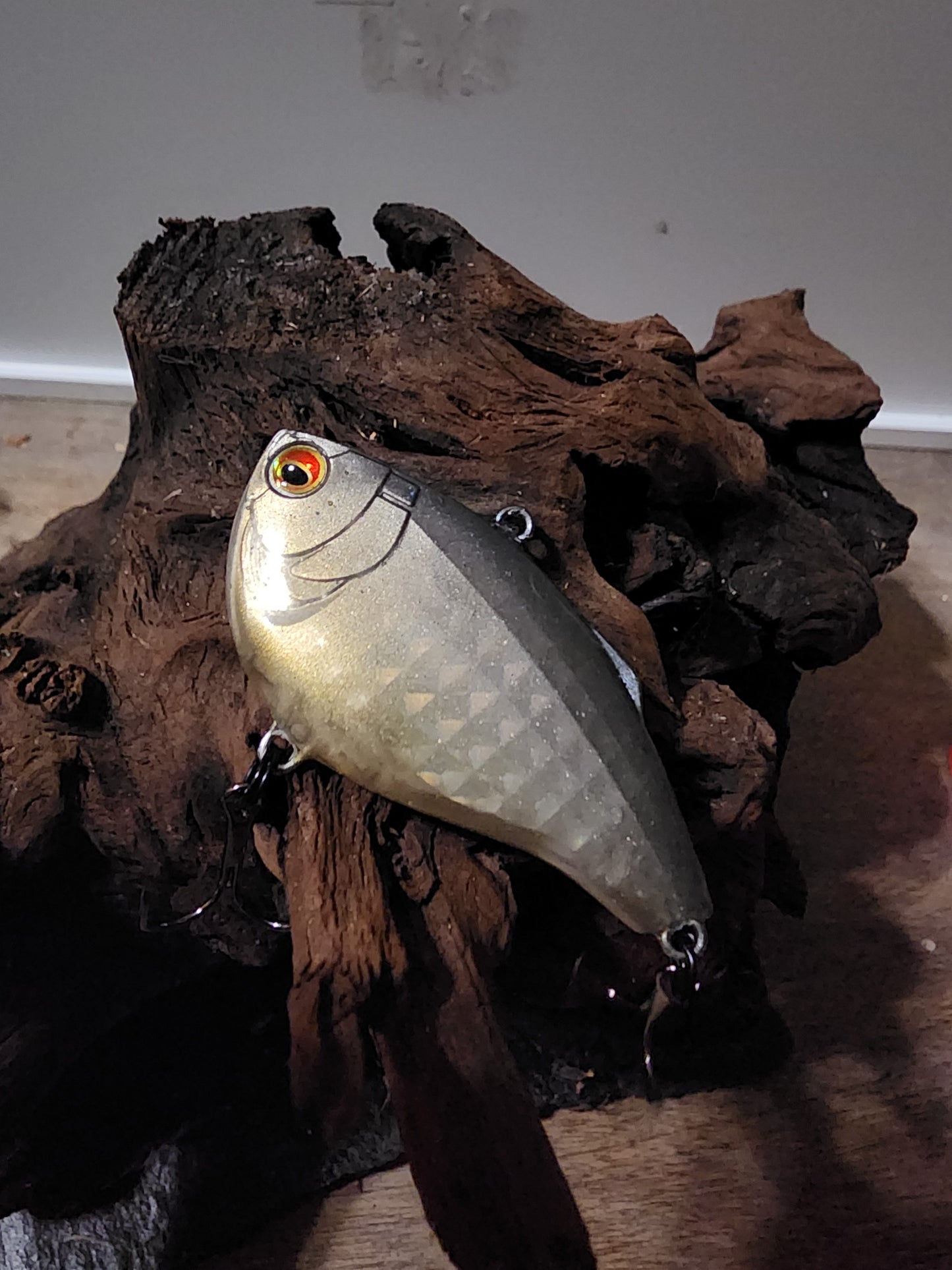 Lipless rattling creek chub